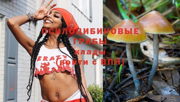 амф Нягань