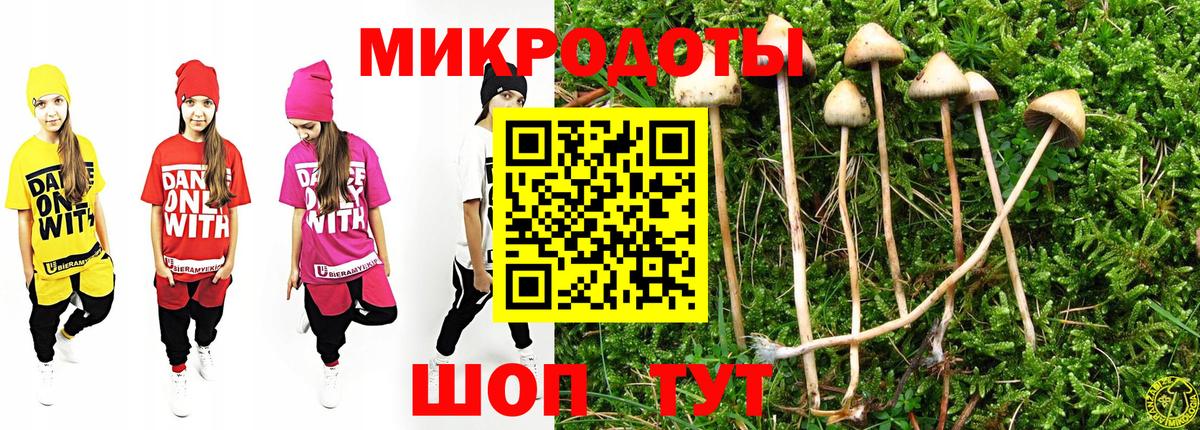 Аргун  Псилоцибиновые грибы мицелий  Вход с VPN 
