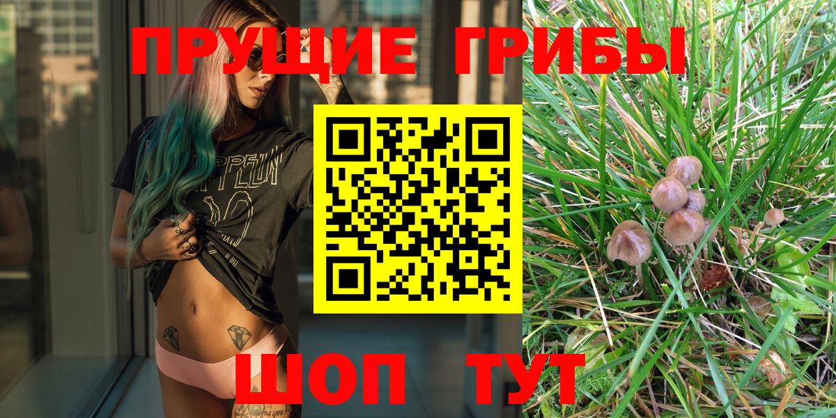 Псилоцибиновые грибы GOLDEN TEACHER Аргун
