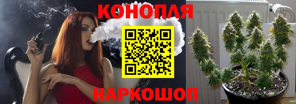 Аргун  Конопля сатива  Бошки Шишки планчик  Вход с VPN  Марихуана план  Бошки марихуана THC 21% 