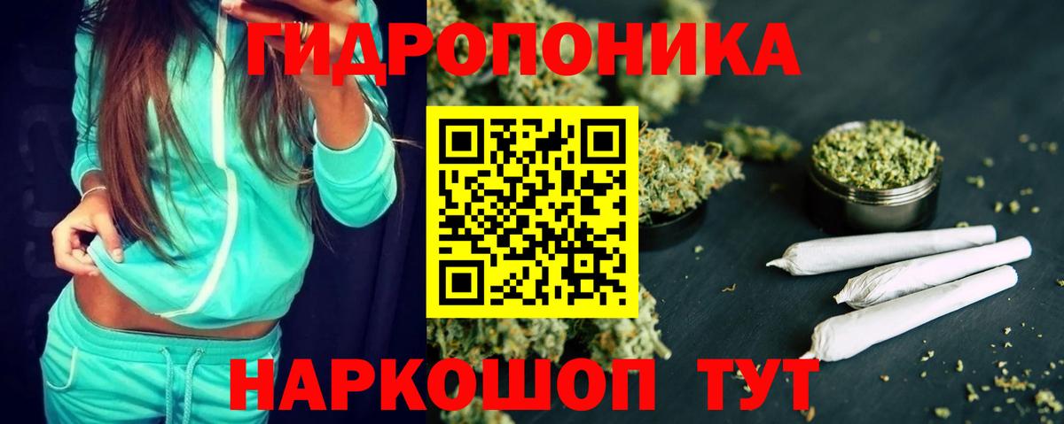 Конопля сатива  Марихуана конопля  Аргун  Шишки марихуана White Widow 